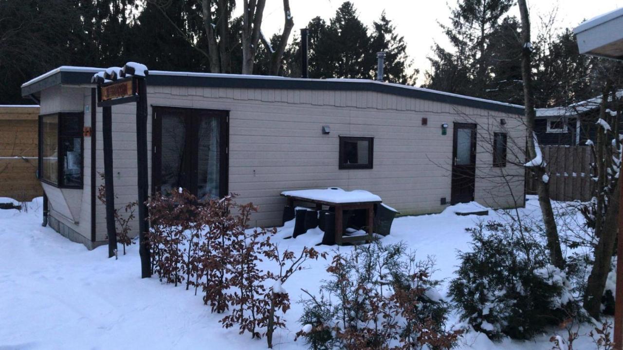 De Eekhoorn Villa Putten Eksteriør billede