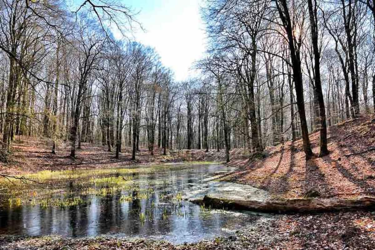 De Eekhoorn Villa Putten Eksteriør billede
